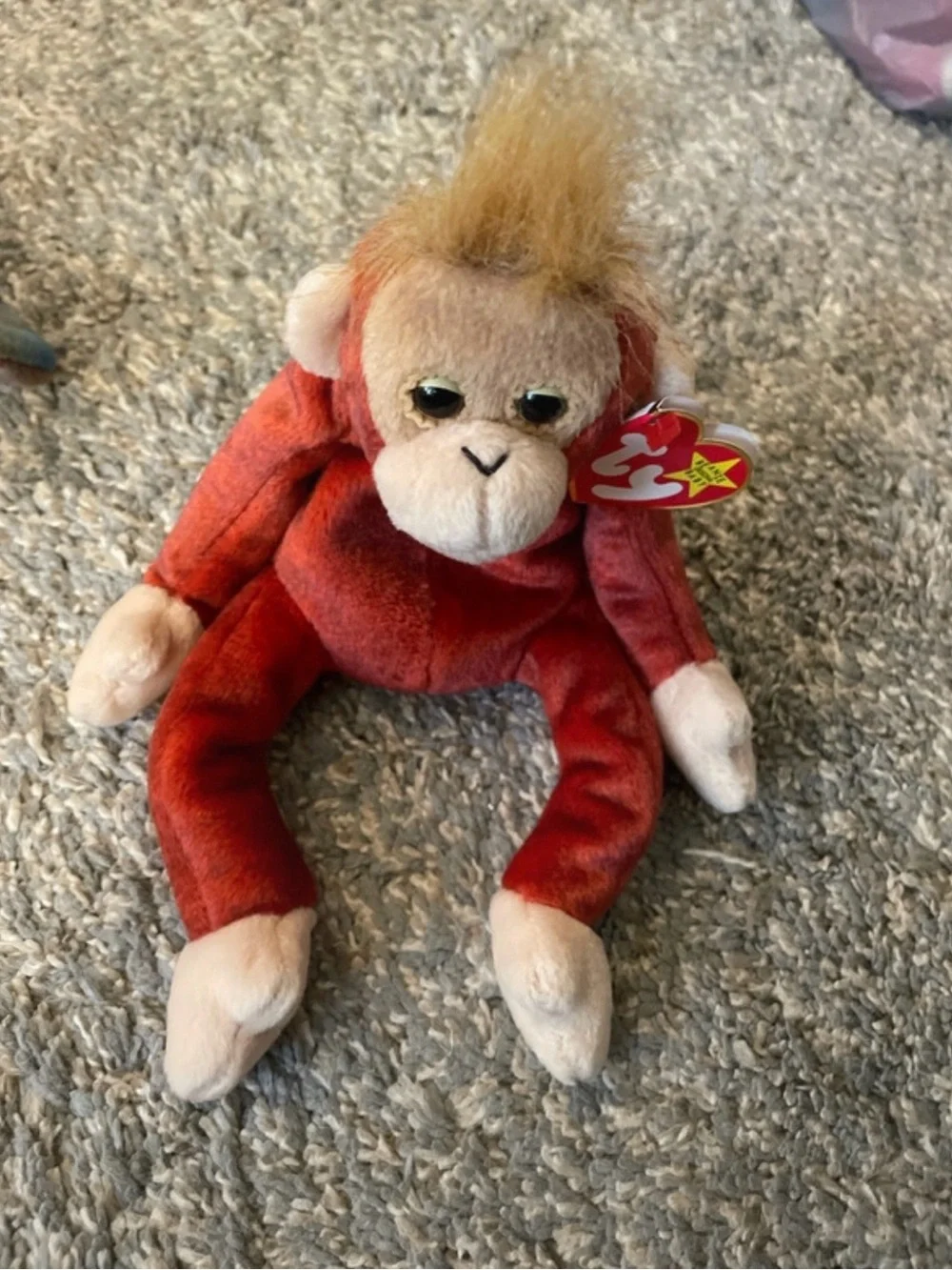 Ty Beanie Babies Collection
